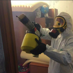 Уничтожение клопов в квартире. Кингисепп